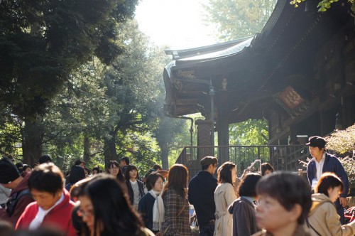 出展報告〜11/17（日）鬼子母神手創り市